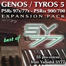 Yamaha Exapnsion Pack SY-77